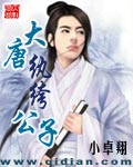 大唐紈絝公子小說封面