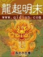 龍起明末小說封面