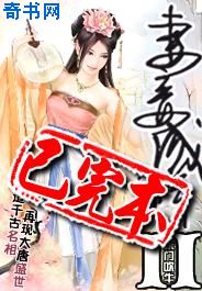 妻妾成群II小說封面