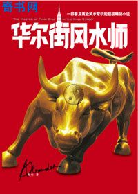 華爾街風水師小說封面