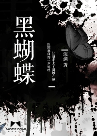 黑蝴蝶小說封面