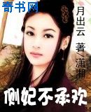 盜妃天下(側妃不承歡)