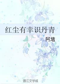 紅塵有幸識丹青小說封面