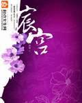 宸宮小說封面