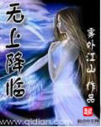 無上降臨小說封面