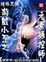 遊戲小工之元素操控師小說封面