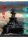 崛起之華夏小說封面
