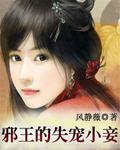 邪王的失寵小妾小說封面