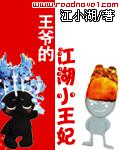 王爺的江湖小王妃小說封面