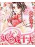 妖女戲十夫小說封面