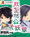 雙面相公太妖孽小說封面