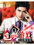 奪愛遊戲小說封面