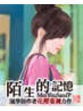 路人小說封面