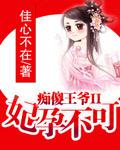 痴傻王爺II妃孕不可小說封面
