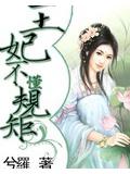 王妃不懂規矩小說封面