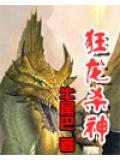 狂龍殺神小說封面