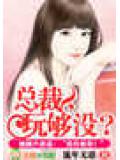 總裁,玩夠沒?小說封面