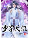 重掌天機小說封面