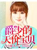 爵少的天價寶貝小說封面