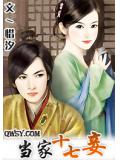 當家十七妾小說封面