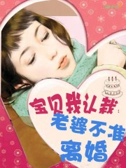 寶貝我認栽:老婆不準離婚小說封面