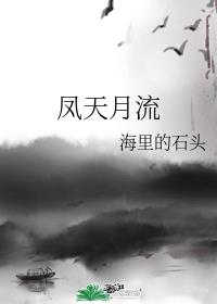 鳳天月流小說封面