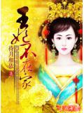 王妃不在家小說封面