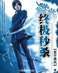 終極秒殺小說封面