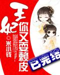 王妃你又耍賴皮小說封面