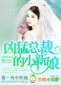 總裁的新娘小說封面