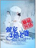 強寵二婚老婆小說封面