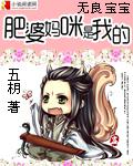 無良寶寶：肥婆媽咪是我的小說封面