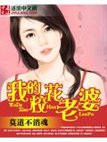 我的校花老婆小說封面