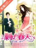 剩女的春天小說封面