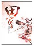 田家小說封面