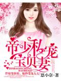 帝少私寵寶貝妻小說封面