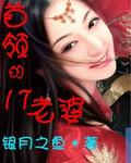 首領的17歲老婆小說封面