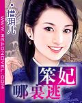笨妃哪裡逃小說封面