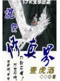 混在修真界小說封面