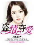 盜情奪愛