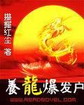 養龍爆發戶小說封面