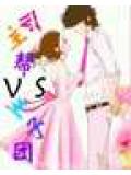 公主幫vs王子團小說封面