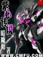 紫心傳說小說封面