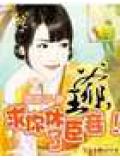 王爺,求你休了臣妾!小說封面