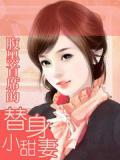 腹黑首席的替身小甜妻小說封面