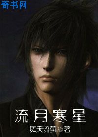 (網遊)流月寒星小說封面