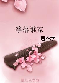 箏落誰家小說封面