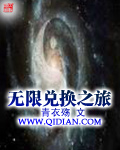無限兌換之旅小說封面