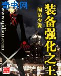 裝備強化之王小說封面