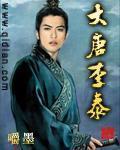 大唐李泰小說封面